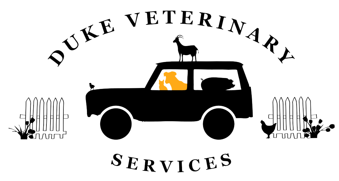 Duke Veterinary Services Logo